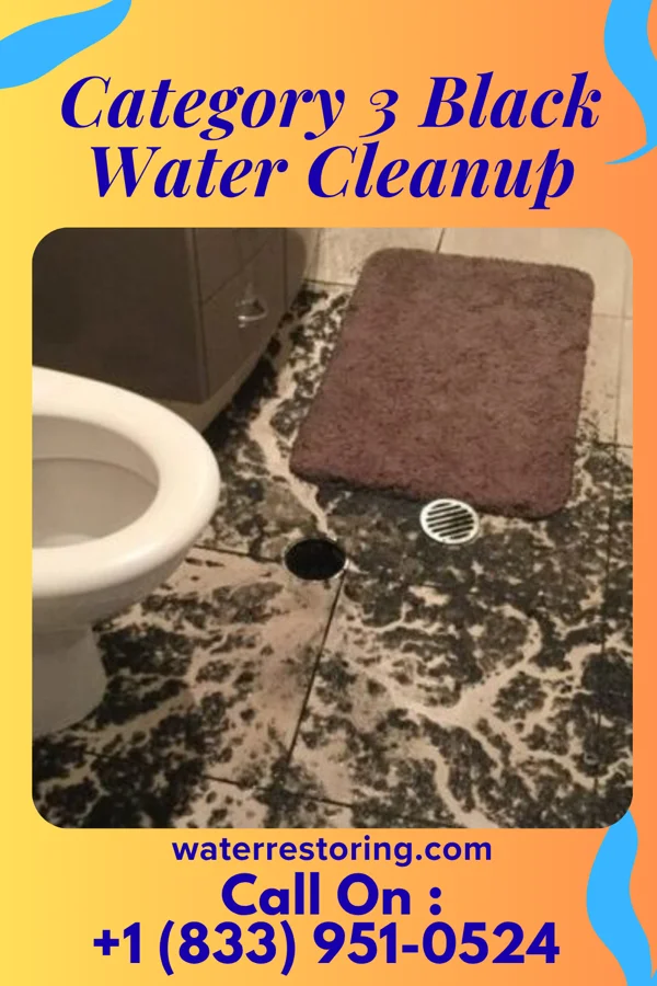 Category 3 Black Water Cleanup in Richmond, VA