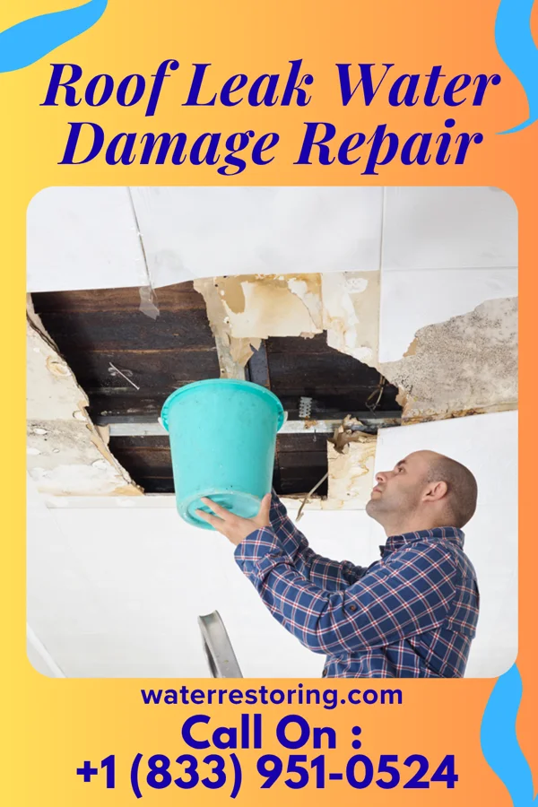 Roof Leak Water Damage Repair in Richmond, VA