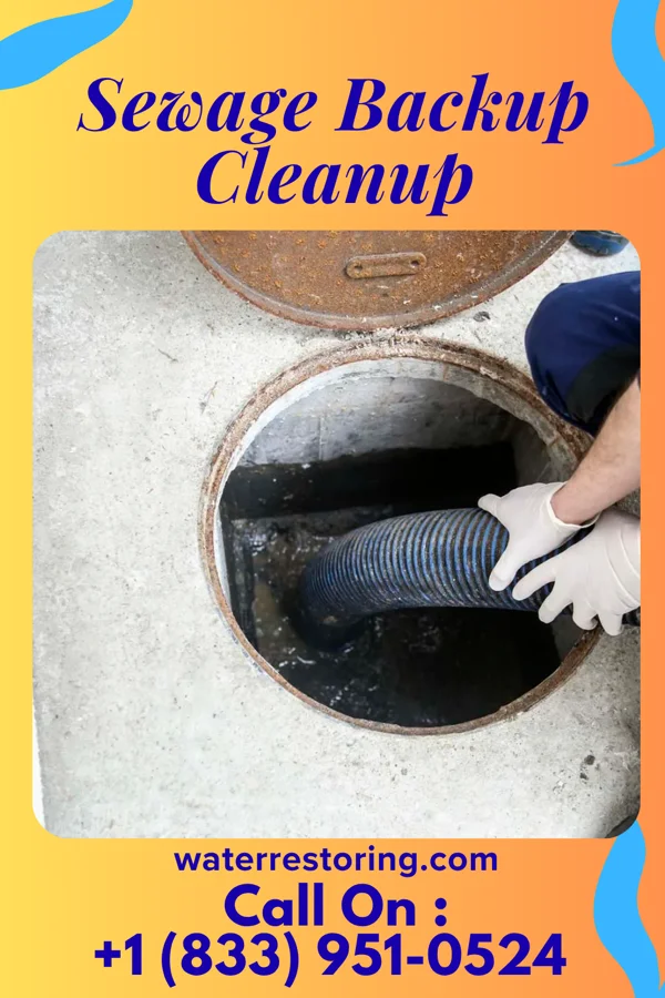 Sewage Backup Cleanup in Richmond, VA